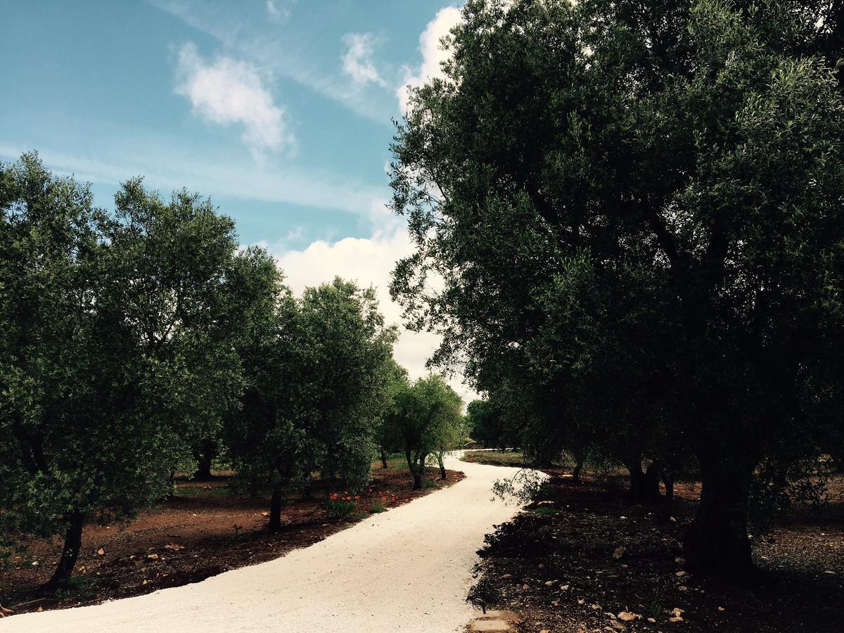 Fikus - The Apulian B&B Ceglie Messapica Dış mekan fotoğraf