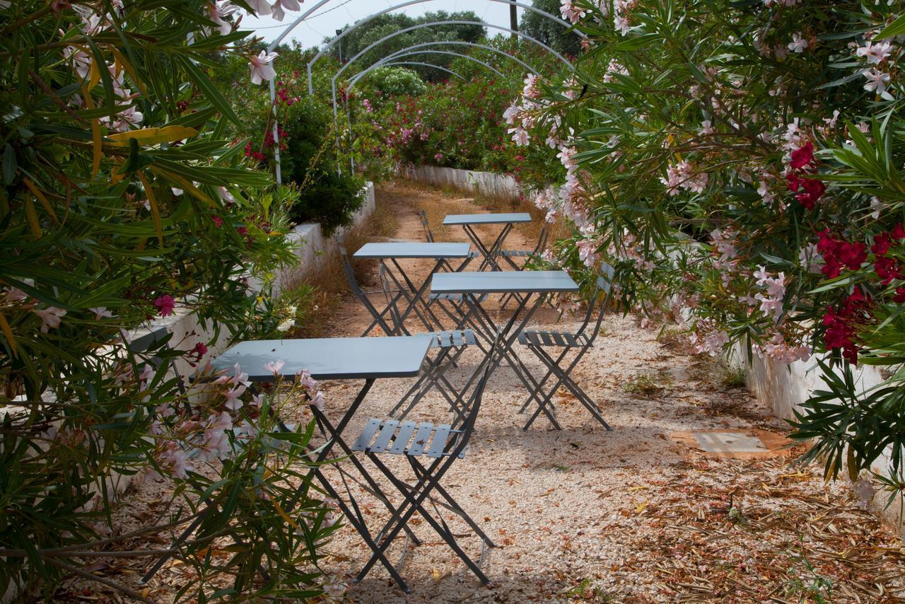 Fikus - The Apulian B&B Ceglie Messapica Dış mekan fotoğraf